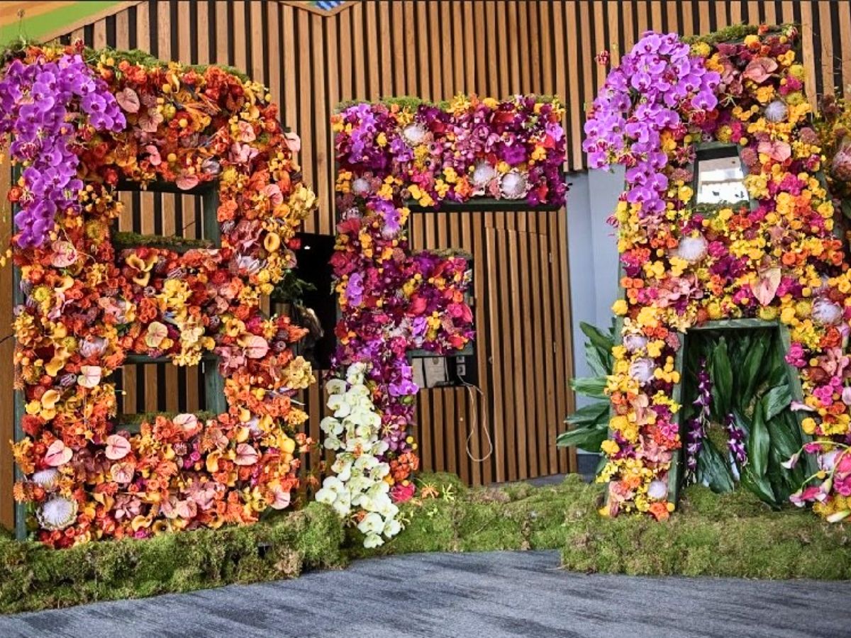 10 Questions to John Davidson