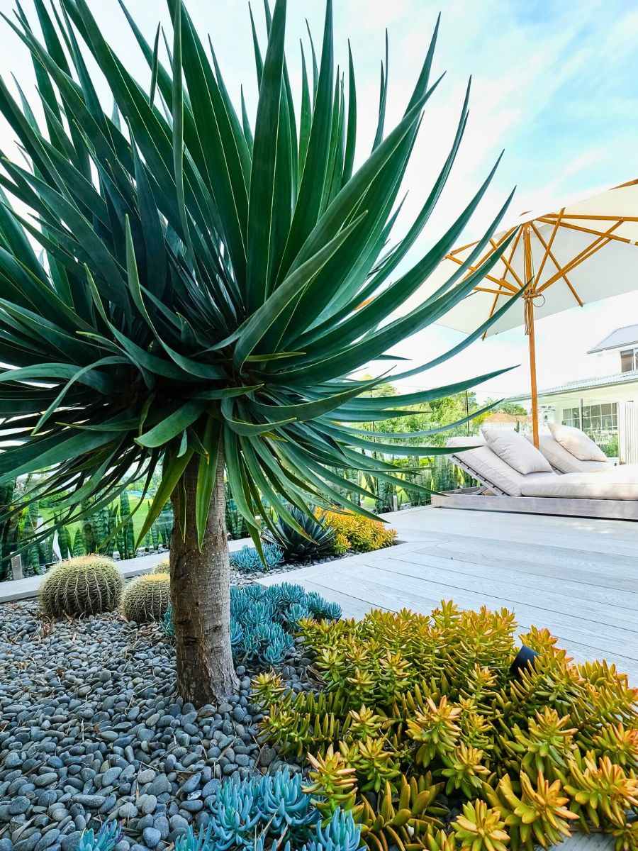 Eco-Friendly Tips for Designing Sustainable Outdoor Spaces