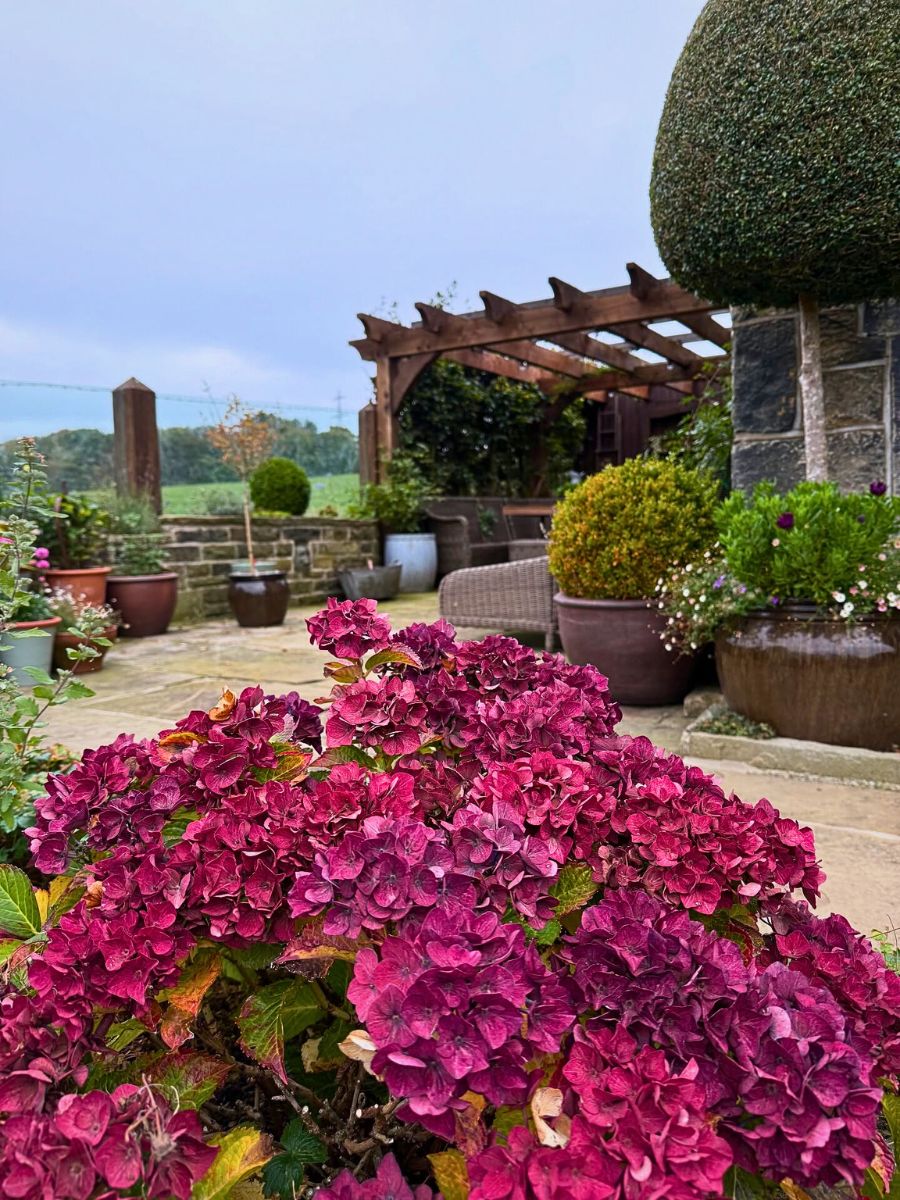 Practical Eco-Friendly Tips for Designing Sustainable Outdoor Spaces