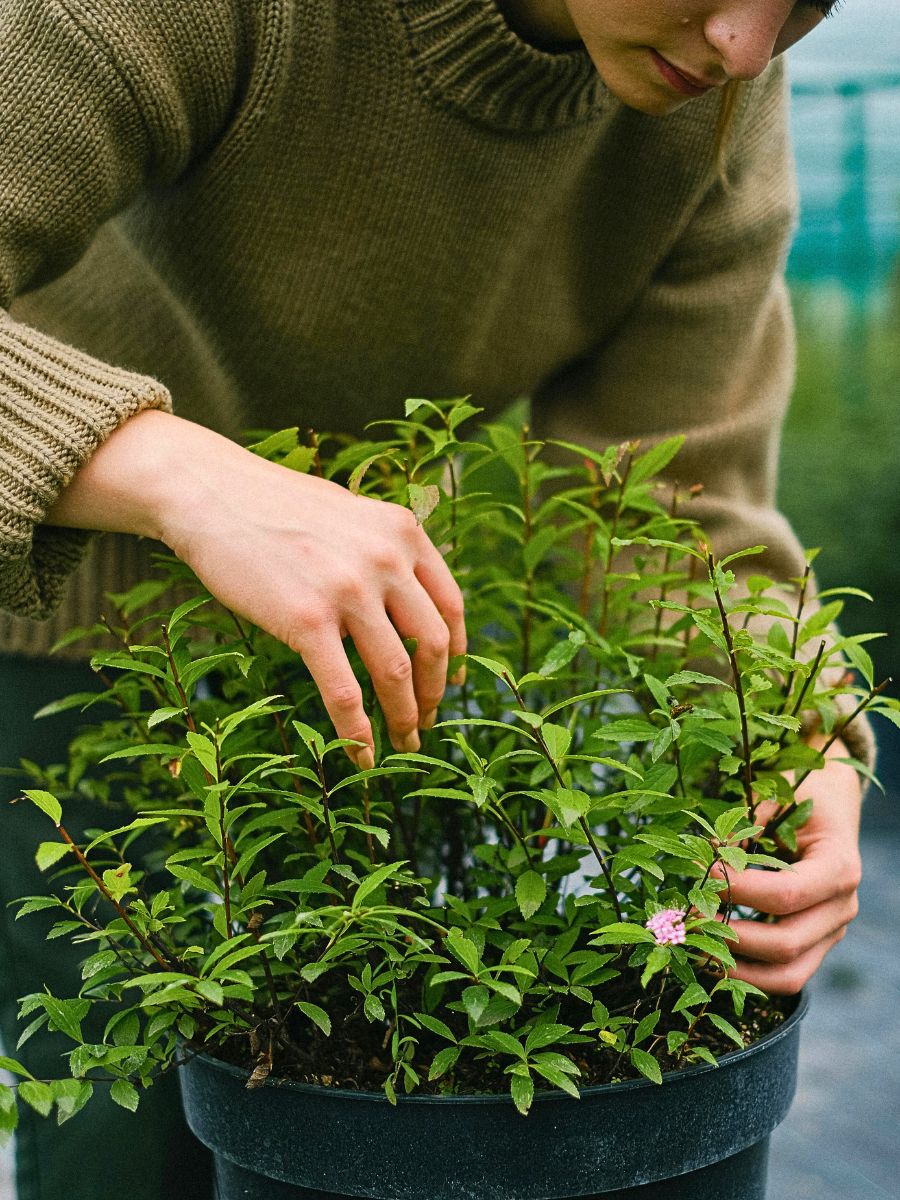 Practical Eco-Friendly Tips for Designing Sustainable Outdoor Spaces