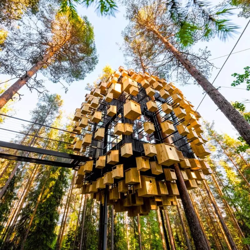 Tree houses in nature