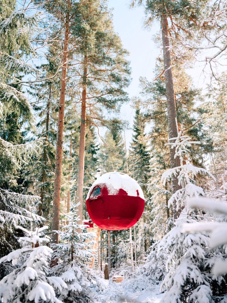 Tree Tents International in the snow