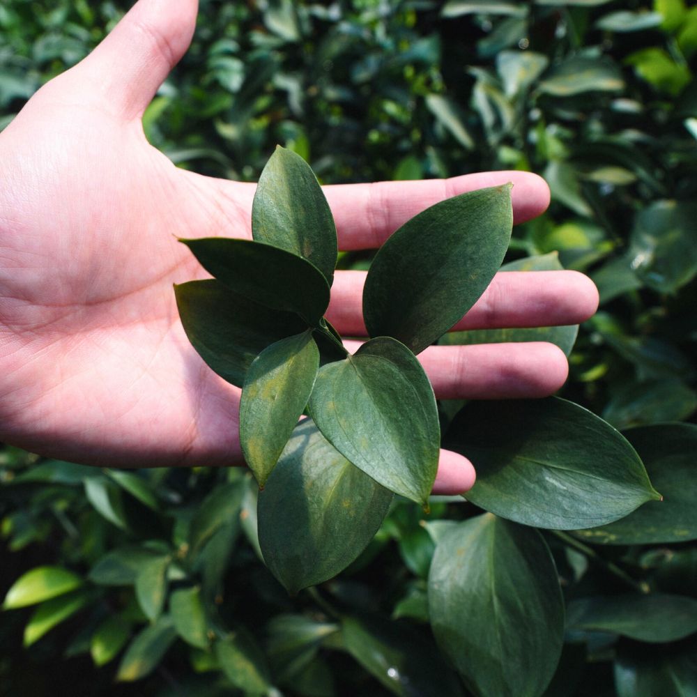 Fillers for a bouquet