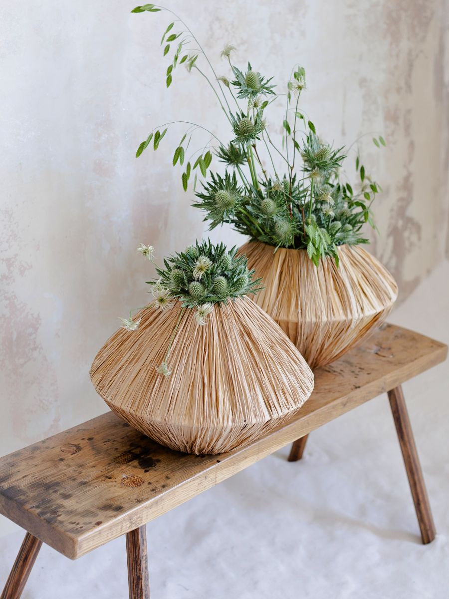 Marginpar’s Eryngiums Redefined in Krisztián Kövér’s Designs