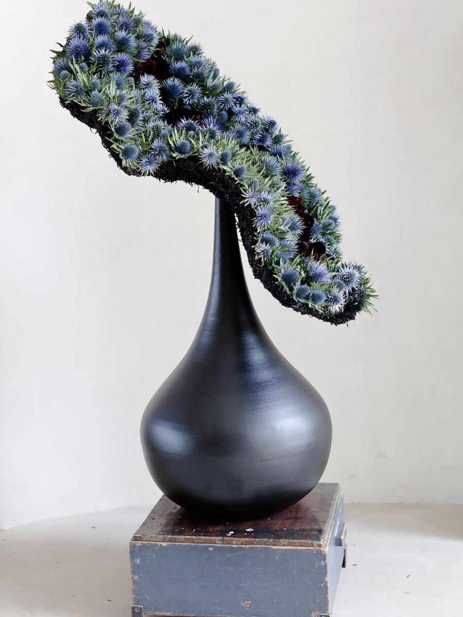 Marginpar’s New Eryngium Varieties Redefined in Krisztián Kövér’s Designs