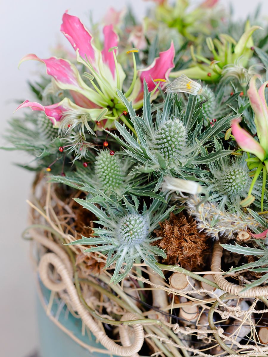 Tension meets lightness Marginpar’s New Eryngium Varieties Redefined in Krisztián Kövér’s Designs