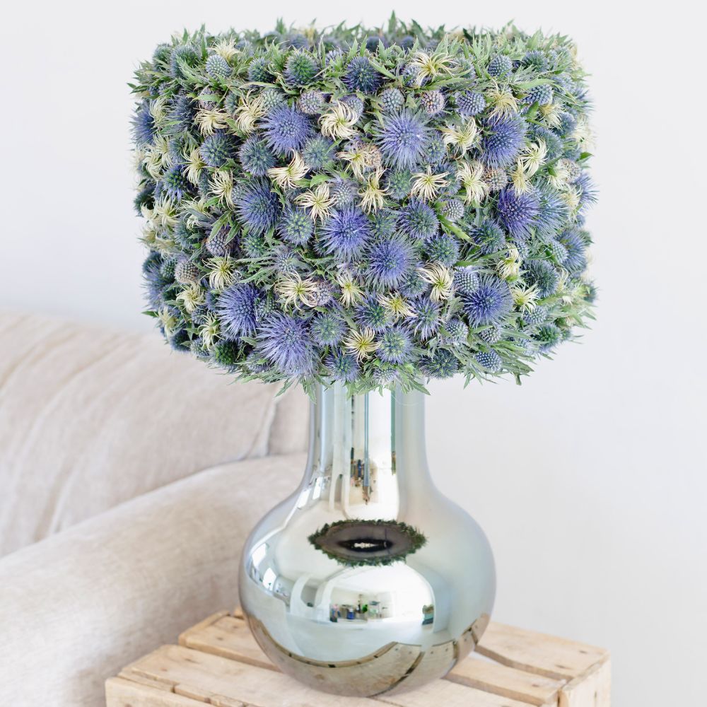 Marginpar’s New Eryngium Varieties Redefined in Krisztián Kövér’s Designs