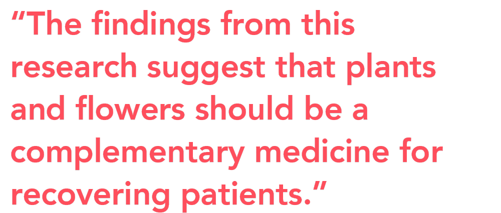 Flowers reduce pain and stress quote Flowers reduce pain and stress quote