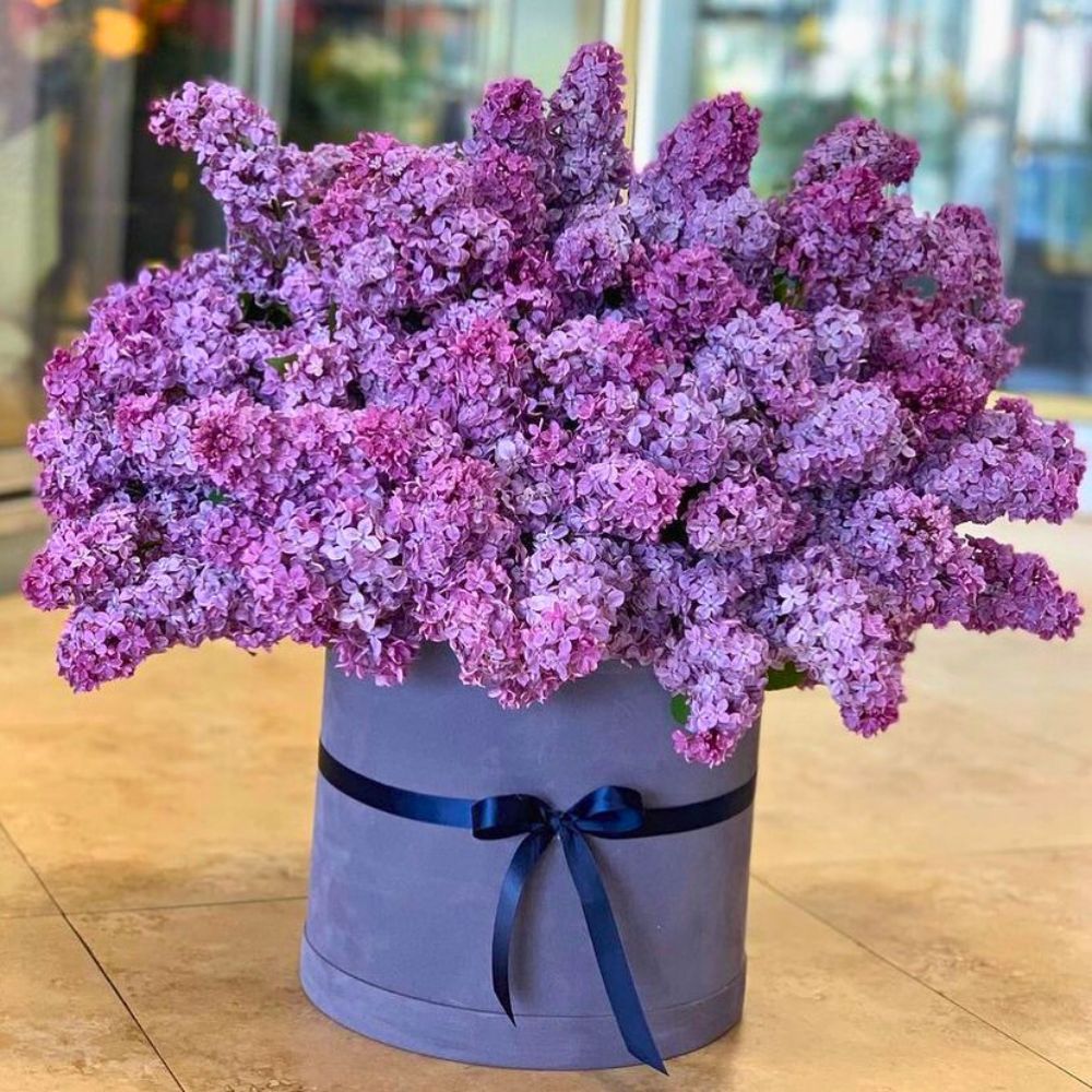 a bouquet of lilac flowers