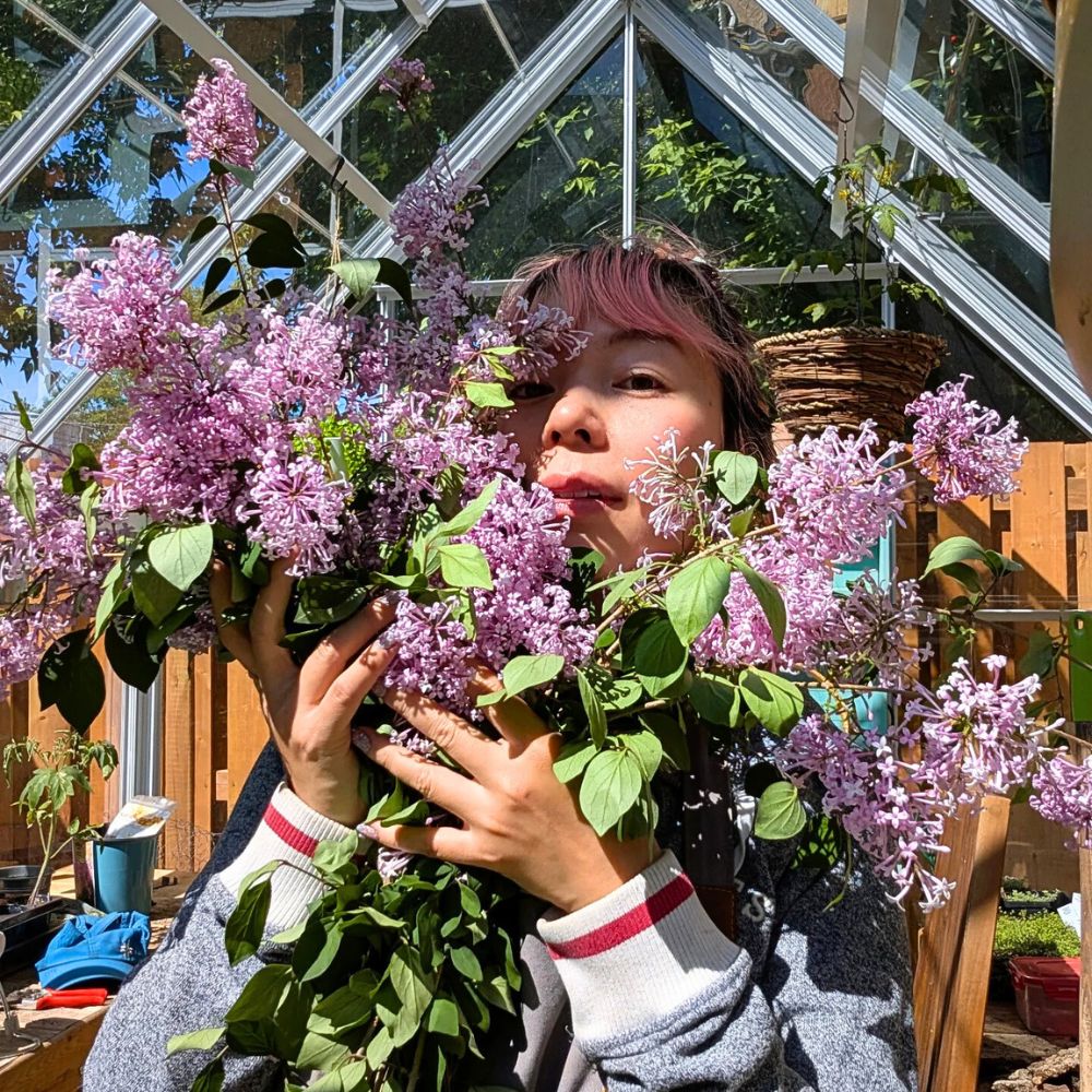 A lady holding a bunch of lilac flowers