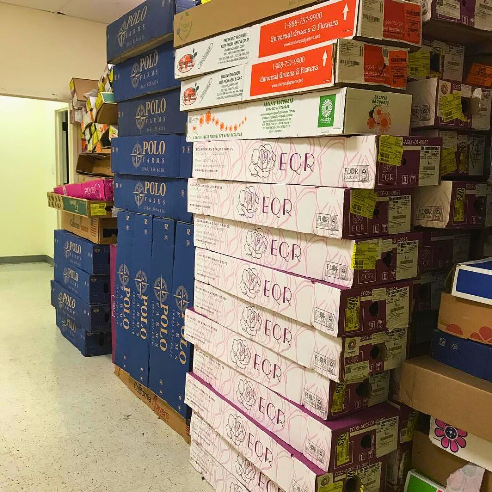 Why Smart Inventory Management Is the Simple Secret for Sustainable Floriculture