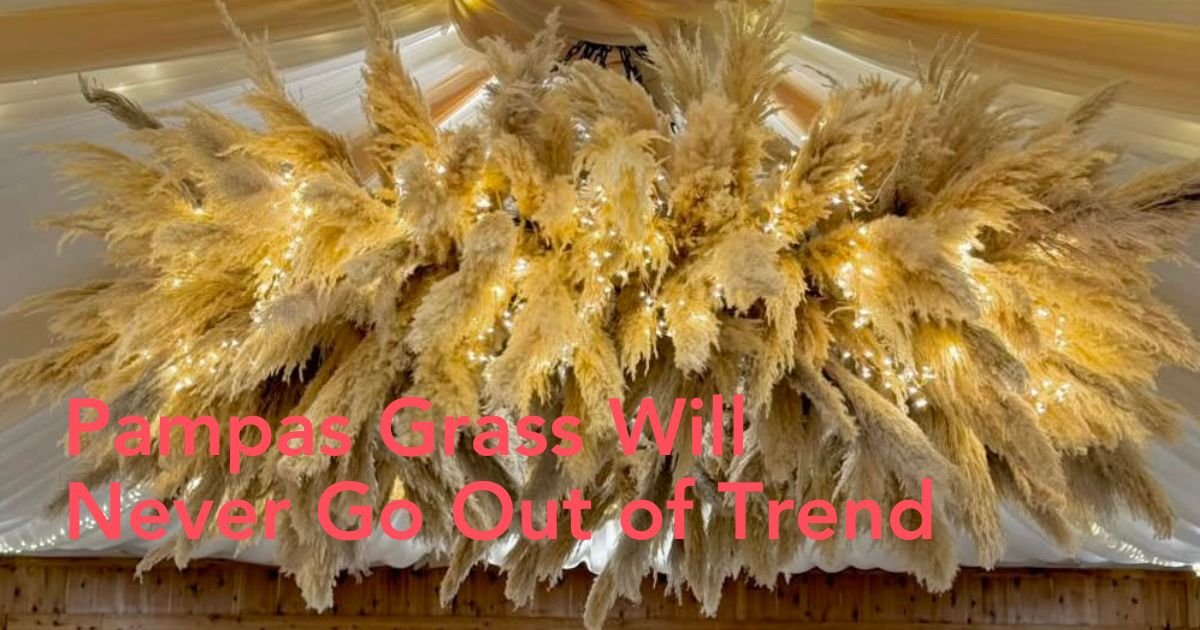 Pampas grass trend decor header