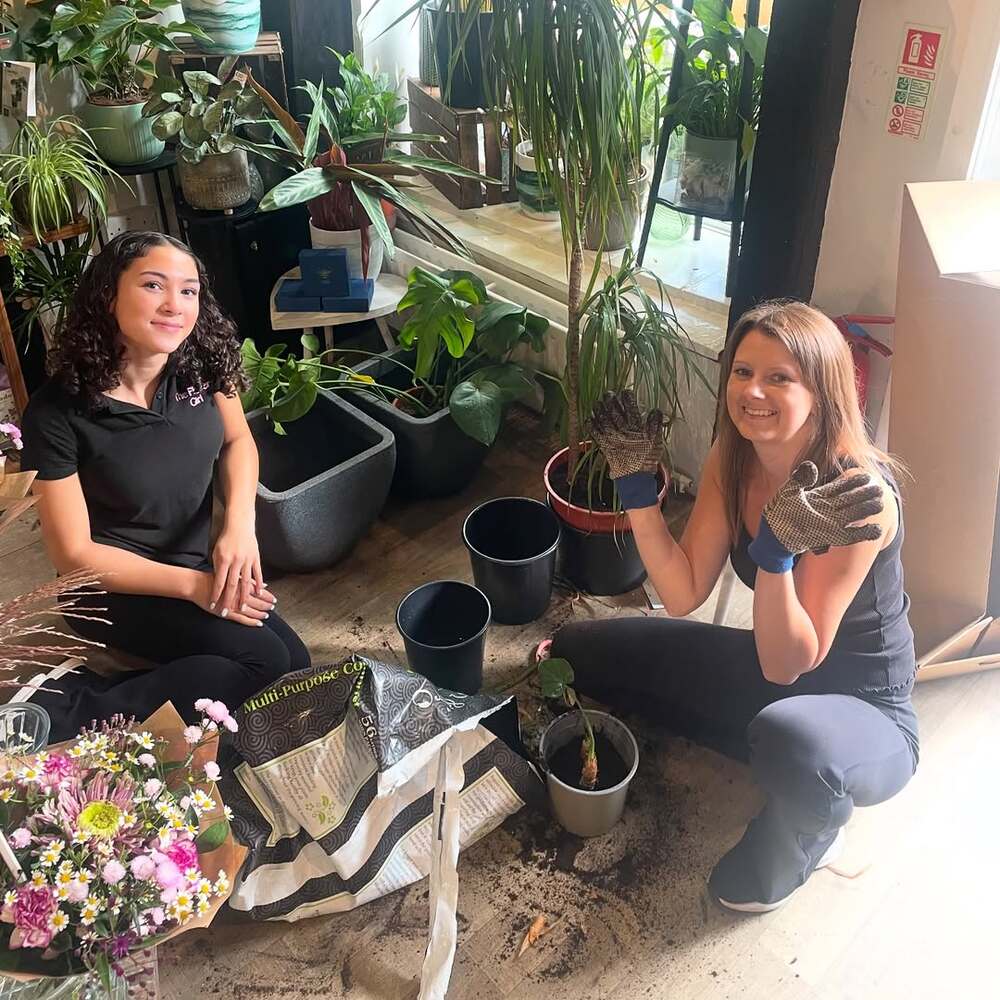 Two women repotting houseplants on floor
