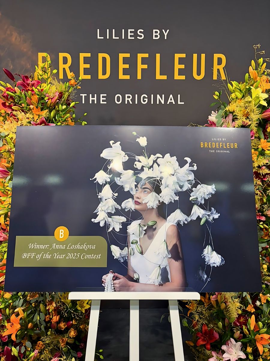 Anna Loshakova's Winning Design