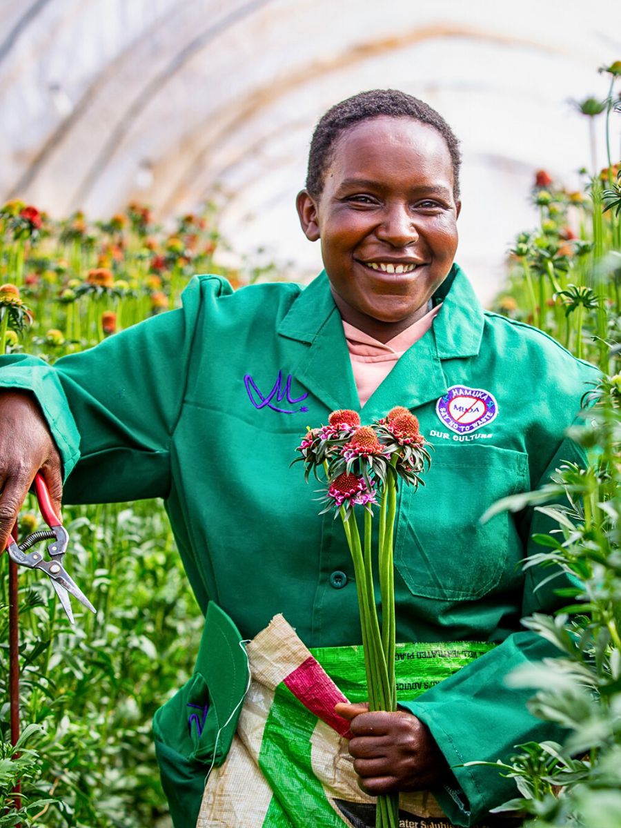 KFC and MPS Partner to Advance Sustainability Through Hortifootprint Calculator