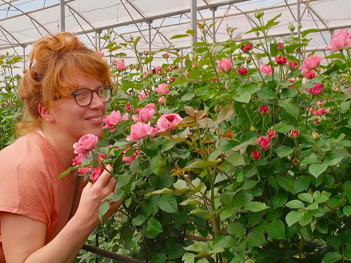 KFC and MPS Partner to Advance Sustainability Through HortiFootprint Calculator