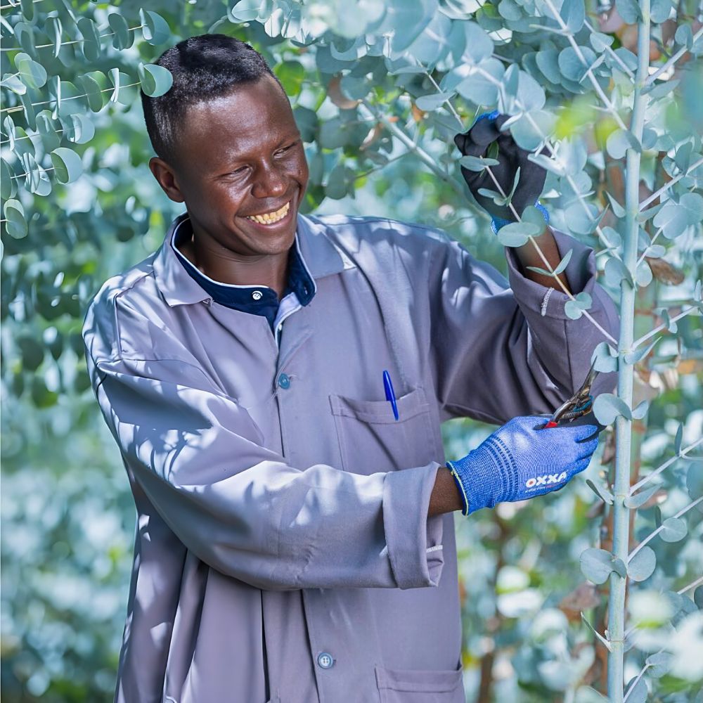 KFC and MPS Partner to Advance Sustainability Through Hortifootprint Calculator