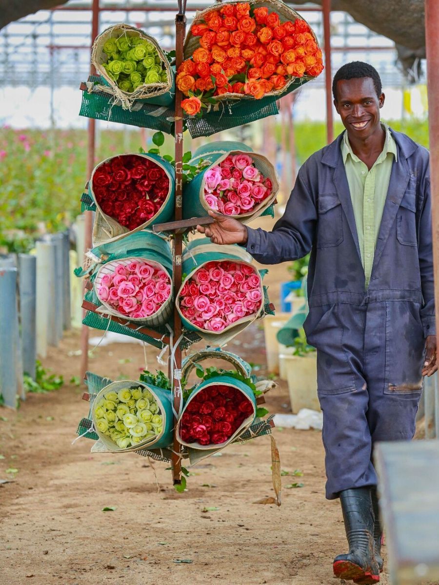 KFC and MPS Partner to Advance Sustainability Through HortiFootprint Calculator