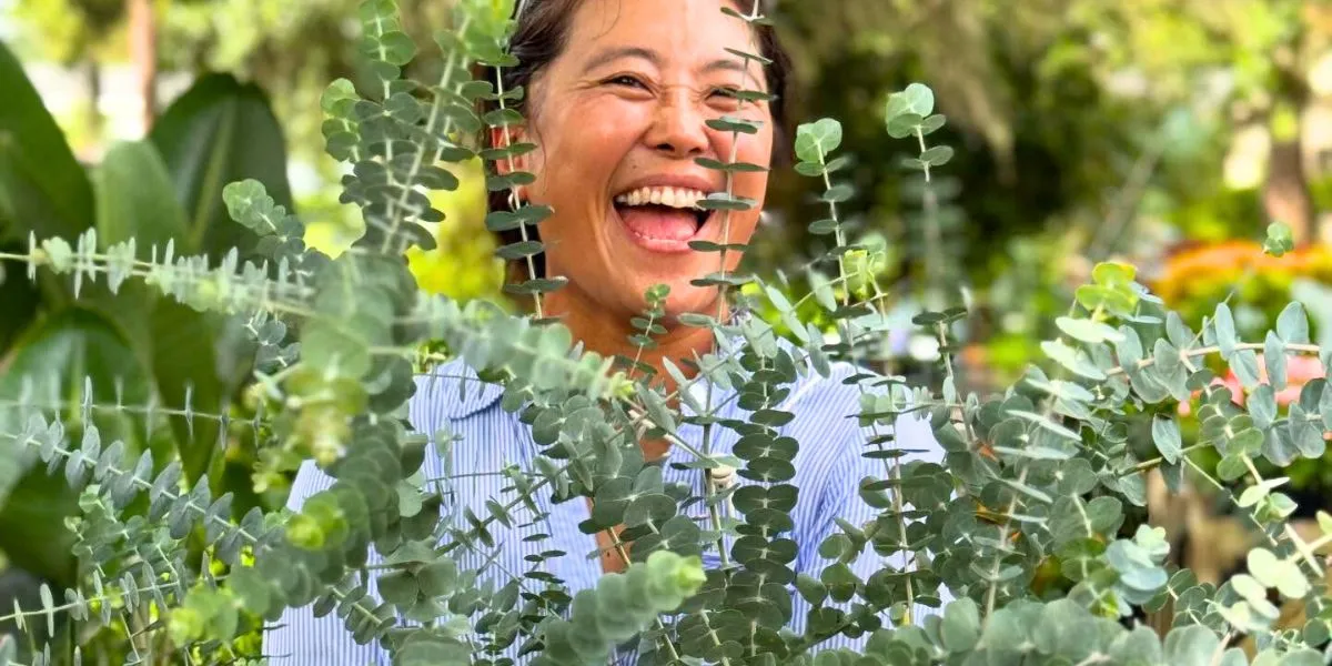 Fillers for a bouquet