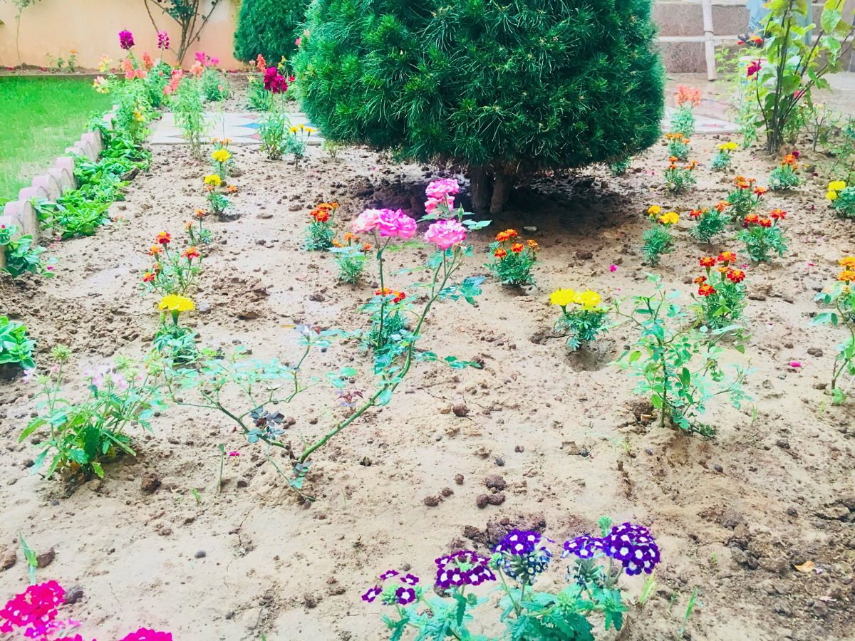using sand in garden