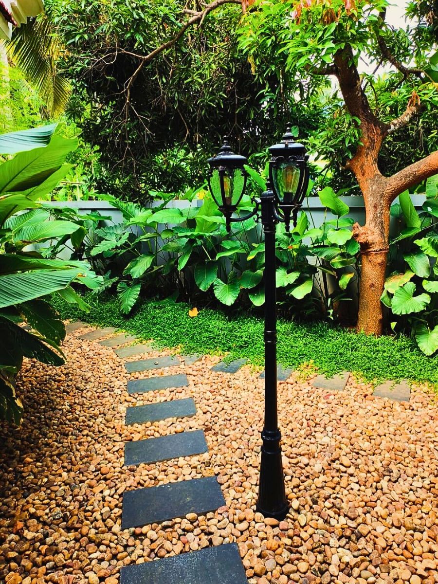 good soil mixed with sand, fertilizer and other growth promoting elements and that's where plants thrive