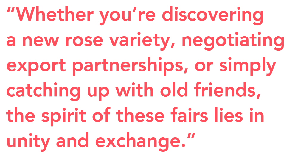 IFTF 2025 Recap quote IFTF 2025 Recap quote