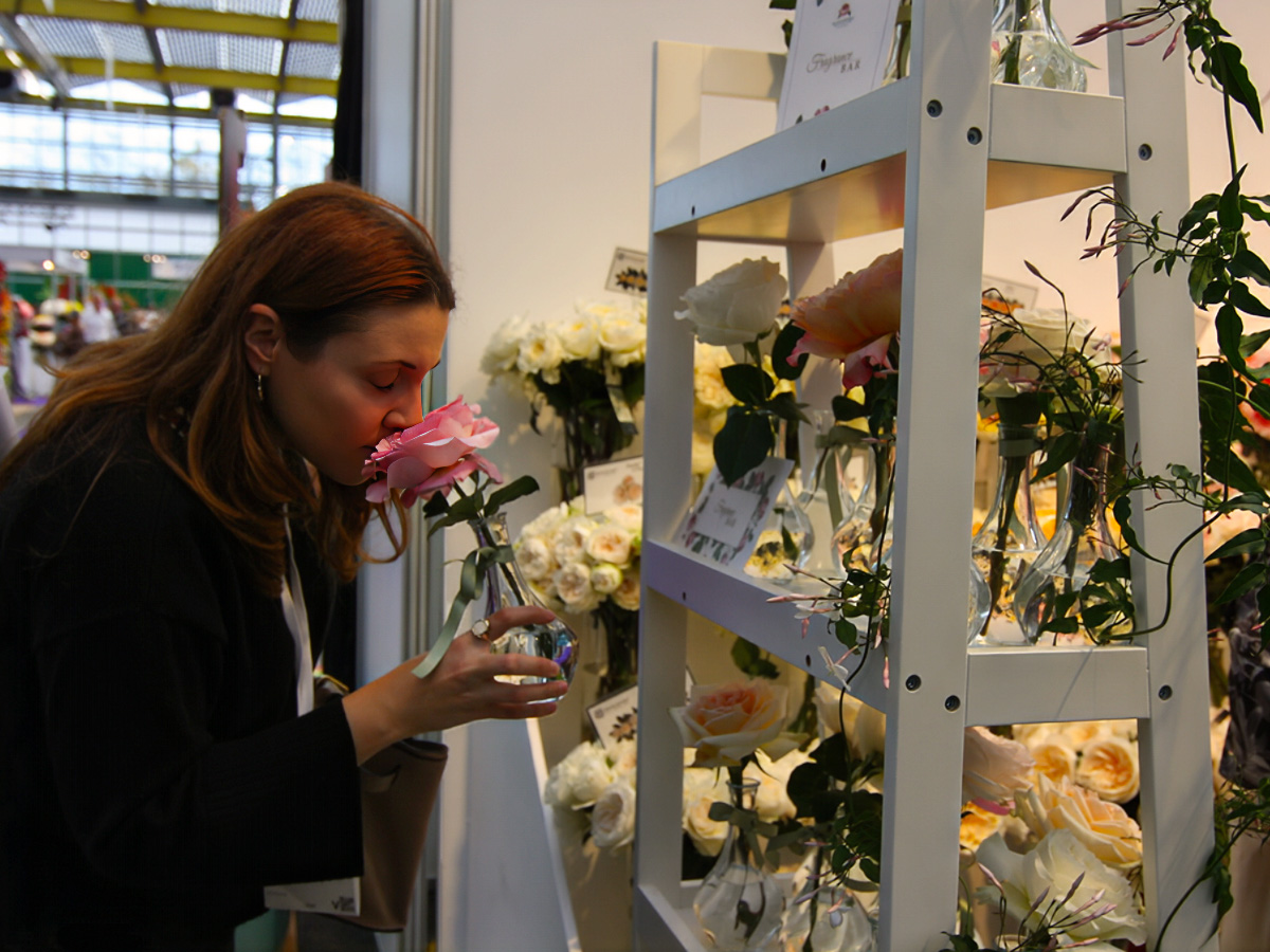 IFTF 2025 Smelling Roses Alexandra Farms