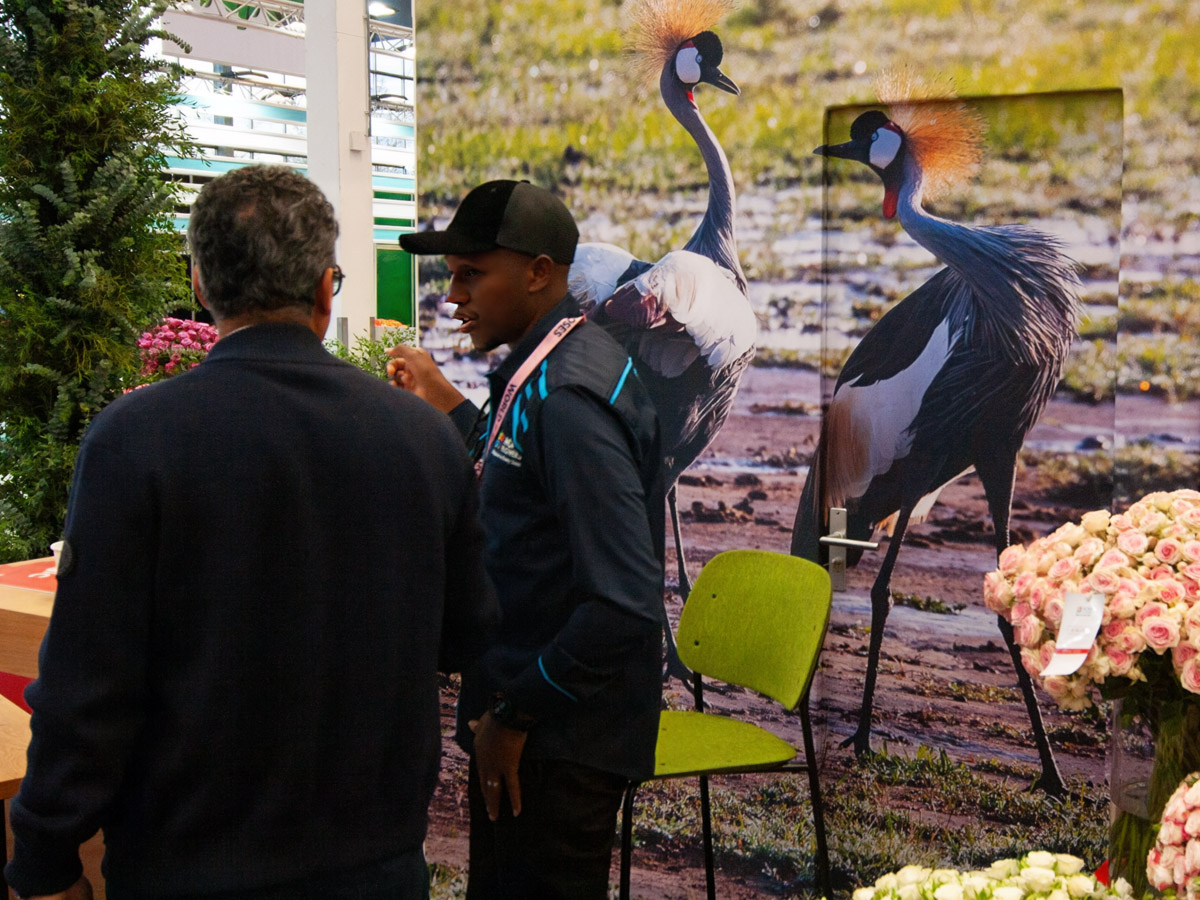 IFTF 2025 Mona Flowers discussion