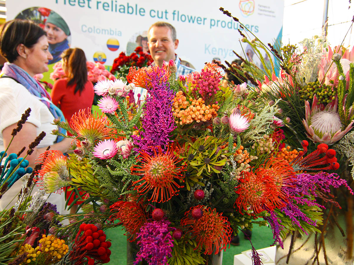 IFTF 2025 IPD Booth South African flowers