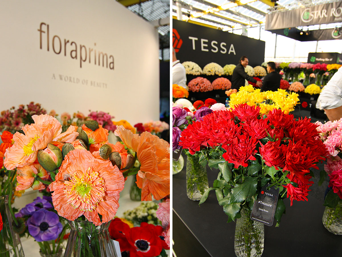 IFTF 2025 Floraprima and Tessa