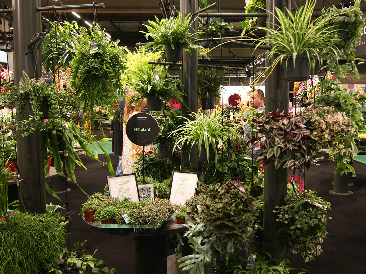 TFA 2025 Decorum booth