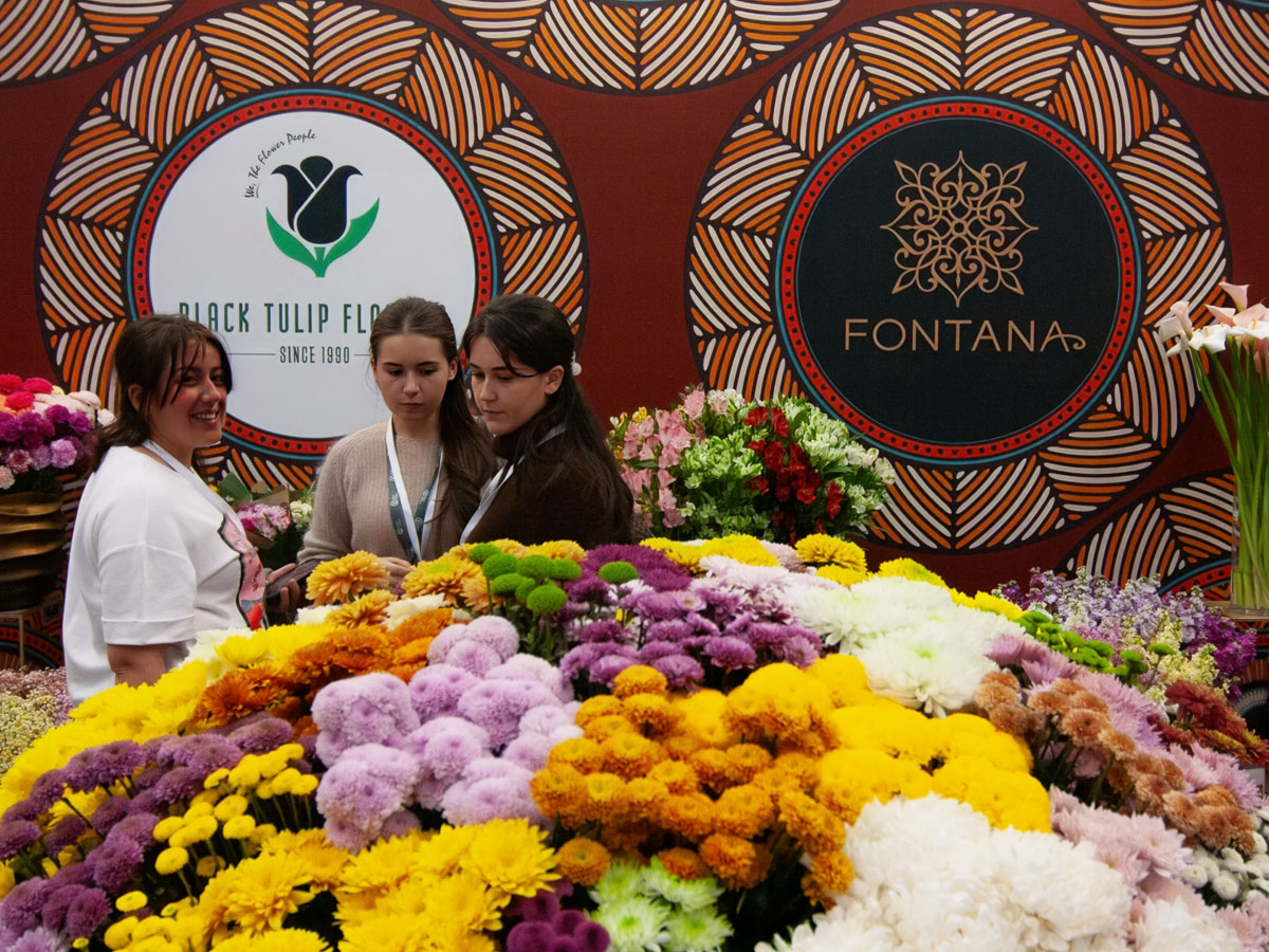 IFTF 2025 Fontana booth