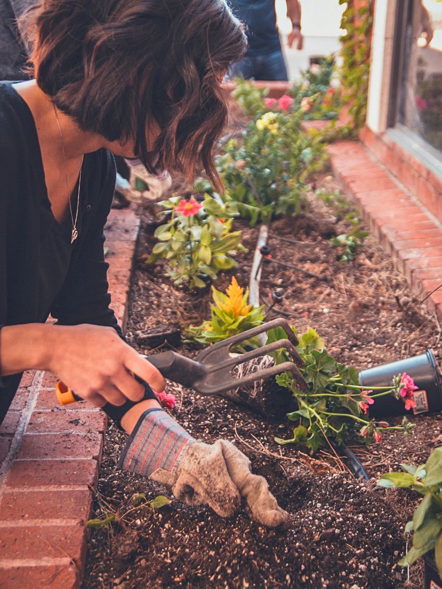 What Are the Different Types of Sand You Can Use for Gardening?