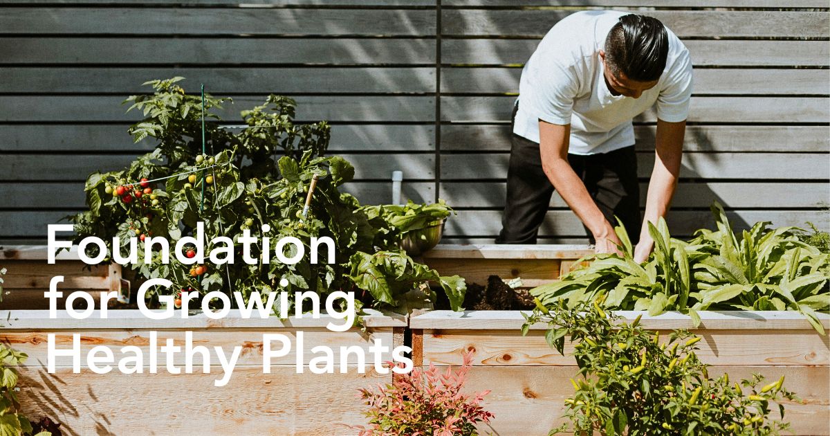 Types of sand for gardening - Thursd Article header image