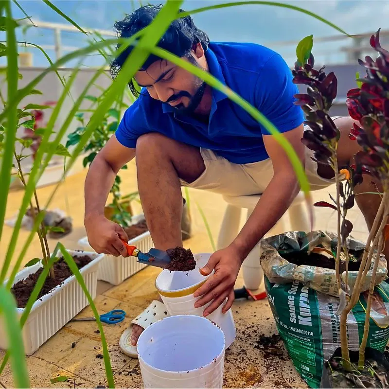 What Types of Sand Can You Use for Gardening?