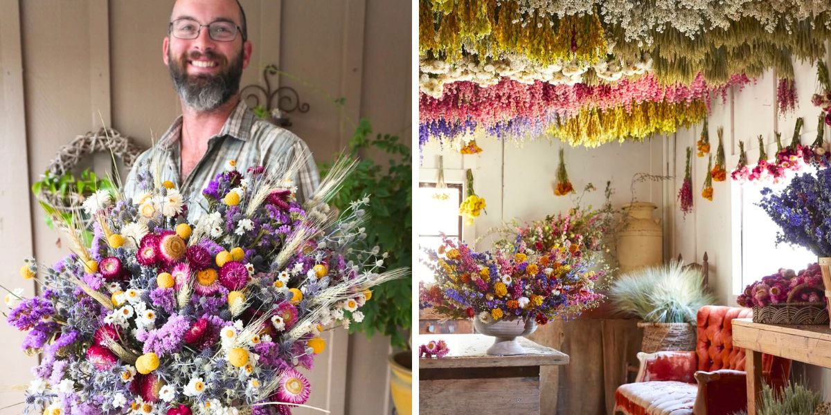 Colorful dried flowers