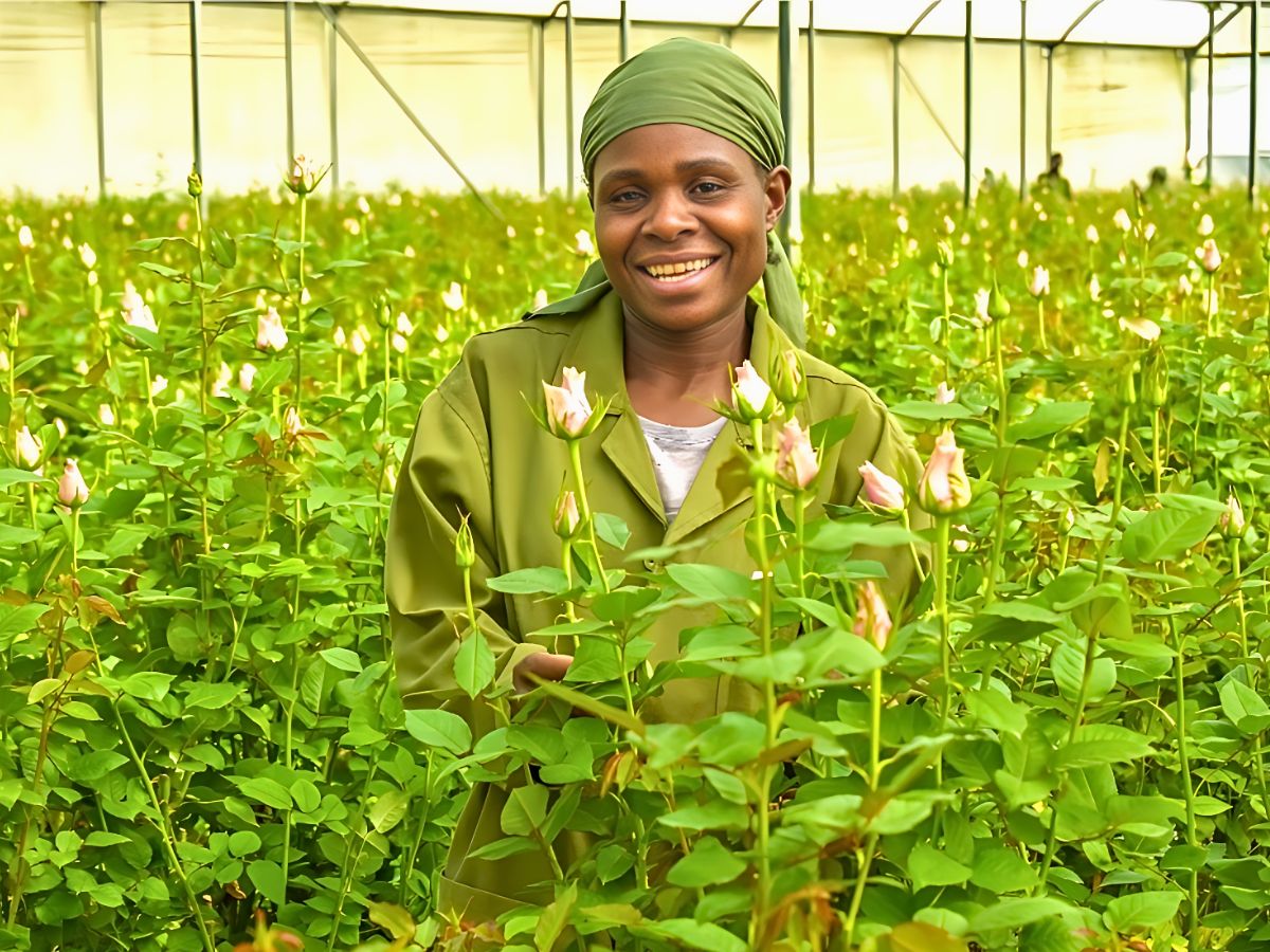 Fairtrade Certified Farms Provide Crèche and Daycare Centers Where Kids Are Cared for When Their Mothers Are Working.