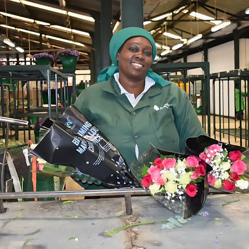 Fairtrade Certified Farms Provide Crèche and Daycare Centers Where Kids Are Cared for When Their Mothers Are Working.