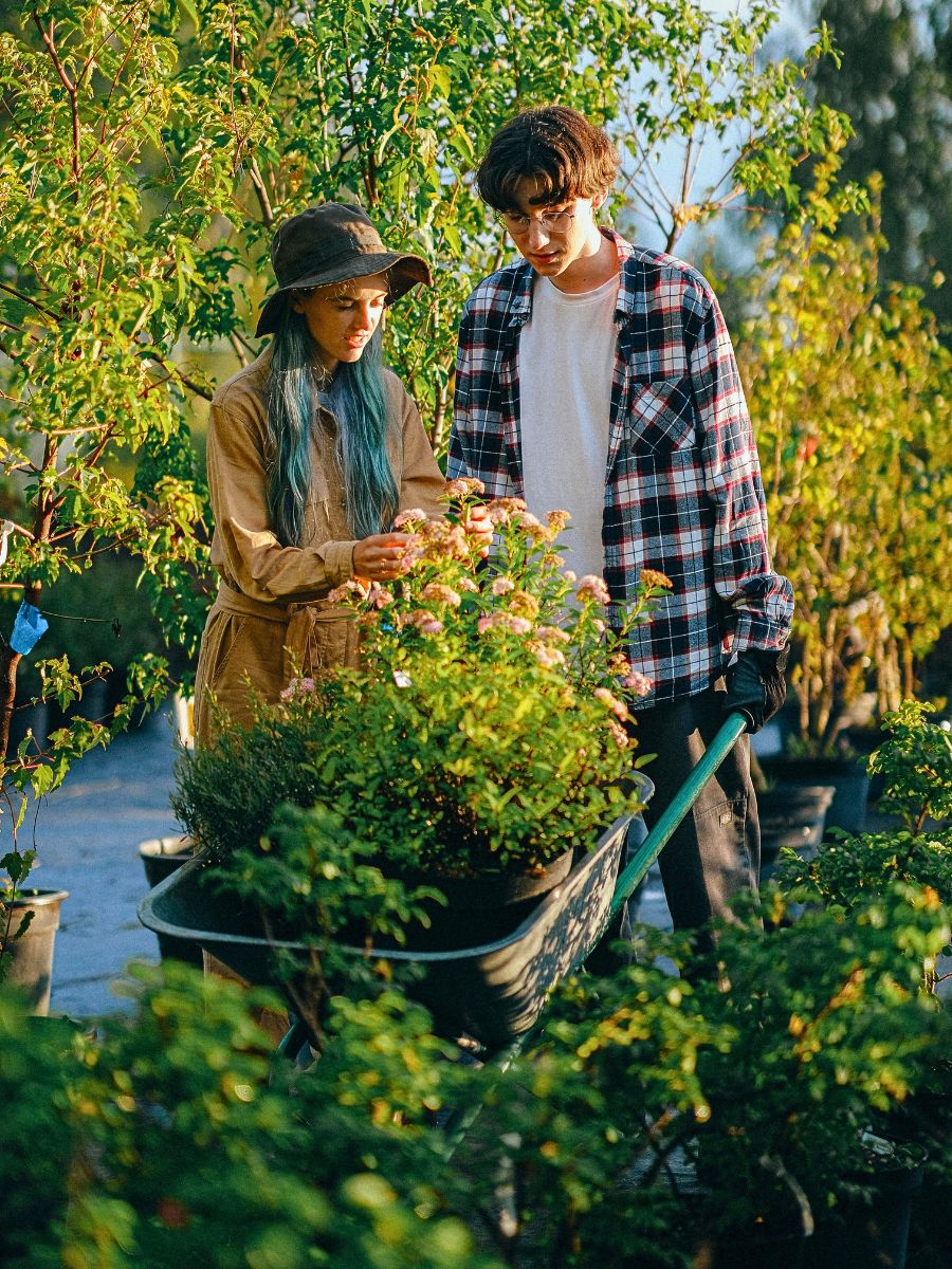 Buying the Best Garden Tools