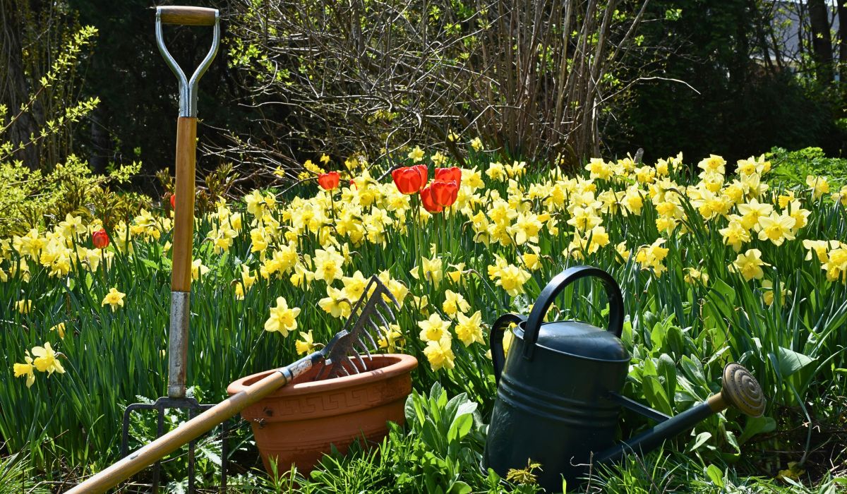 Investing in the Best Gardening Tools