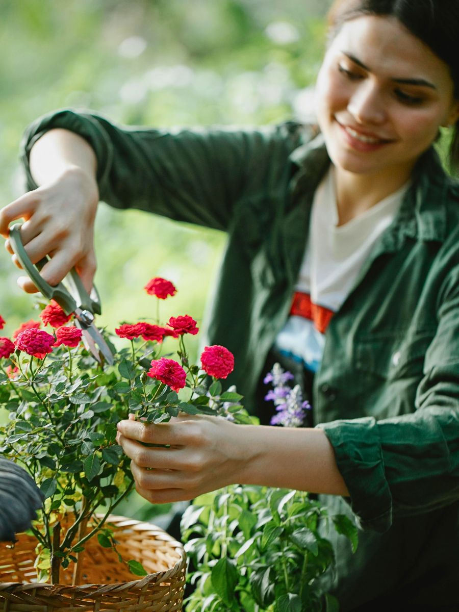 Best Garden Tools for Effortless, Productive Gardening