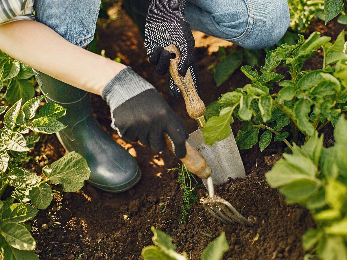 Buying the best gardening tools