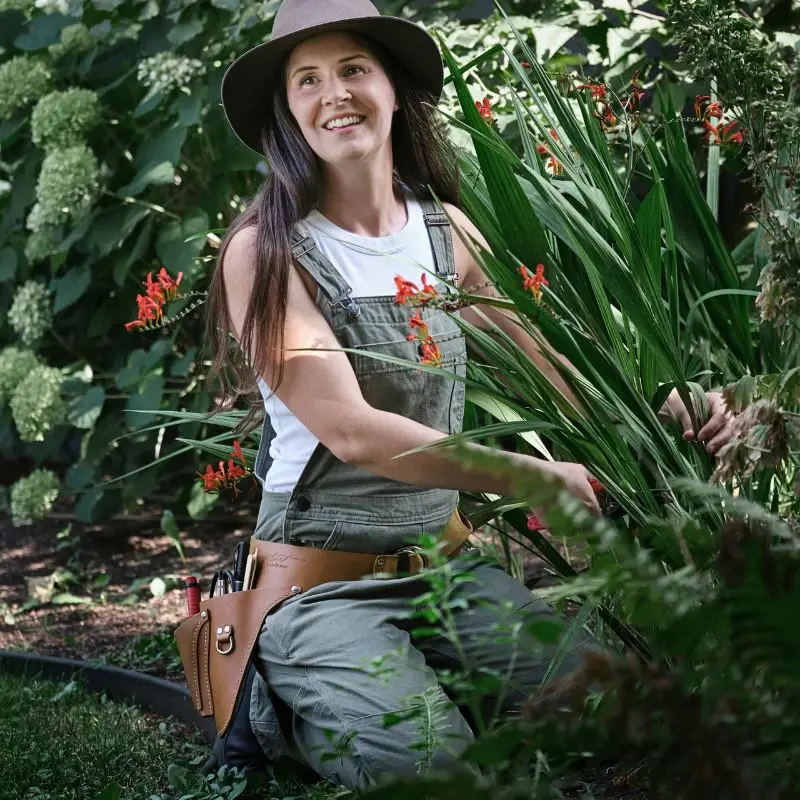 Buying the Best Gardening Tools for Your Perfect Gardening Experience -Thursd Article