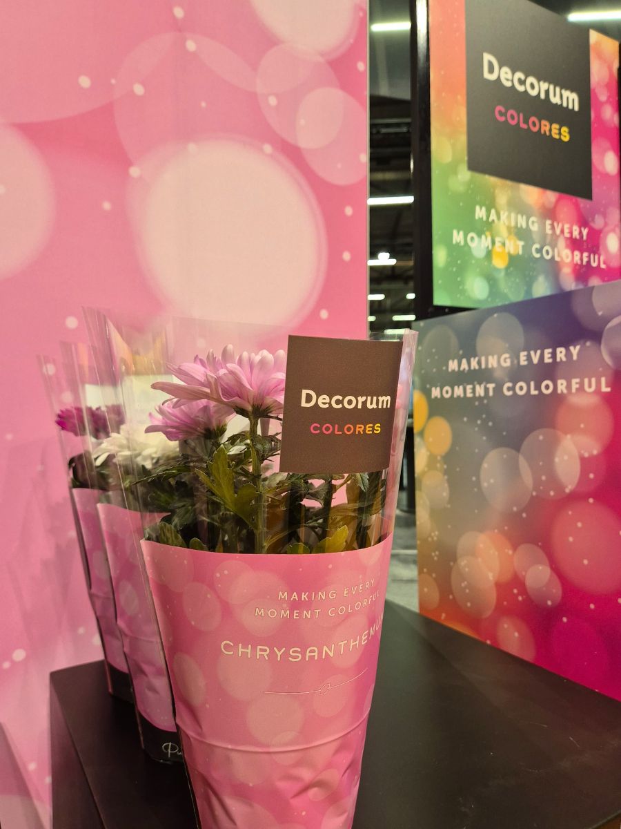 Decorum Plants and Flowers Collection Colores