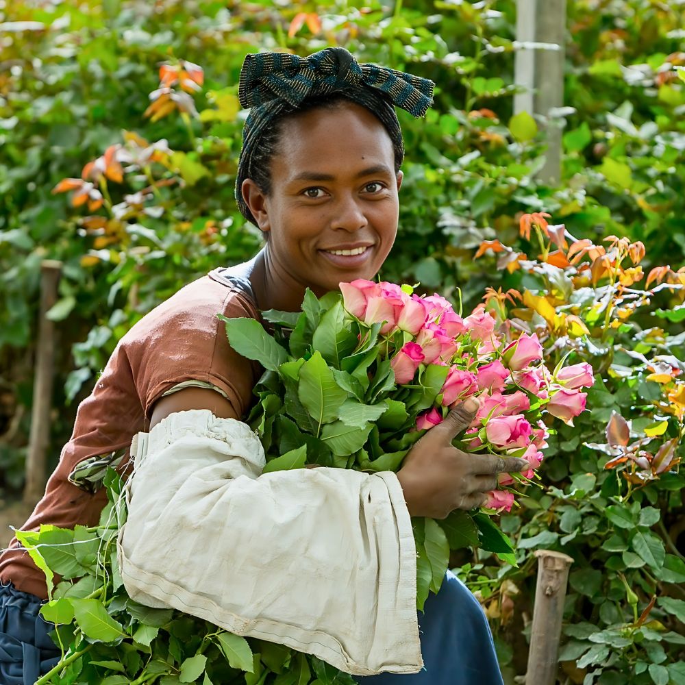 Ziway Roses won second place for their circular waste management system in the inaugural Royal FloraHolland Sustainability Awards