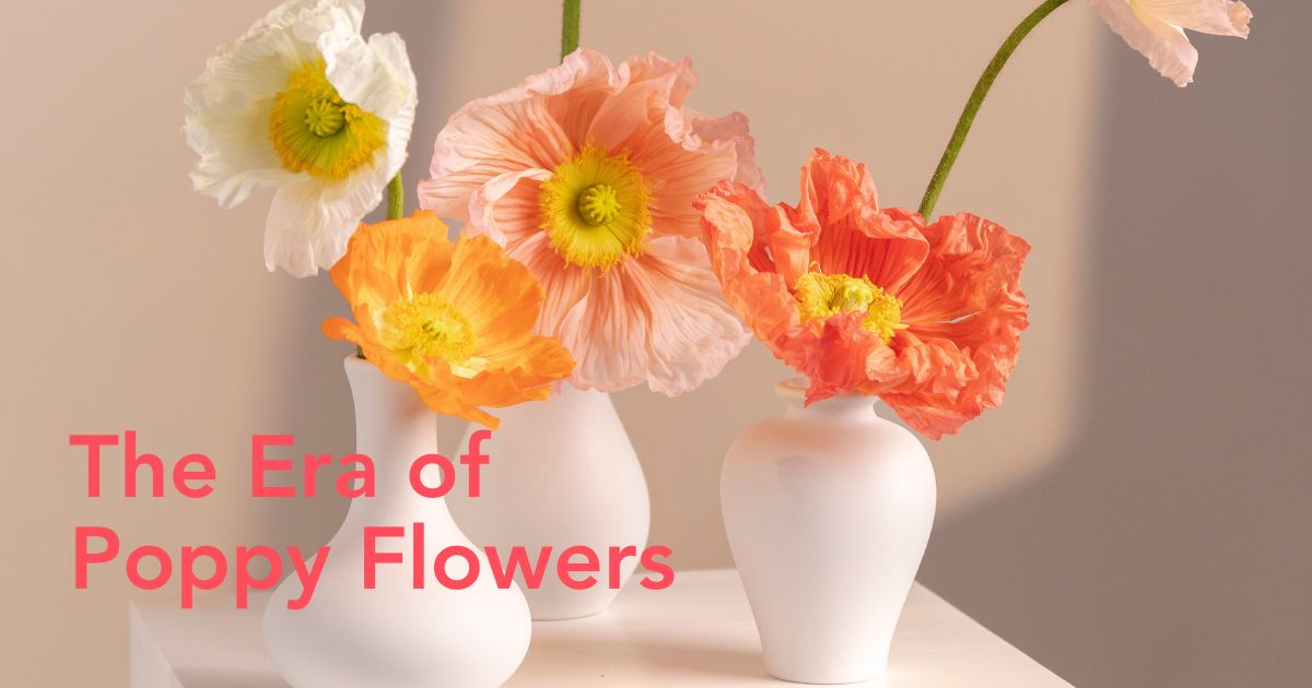 Poppies by floraprima