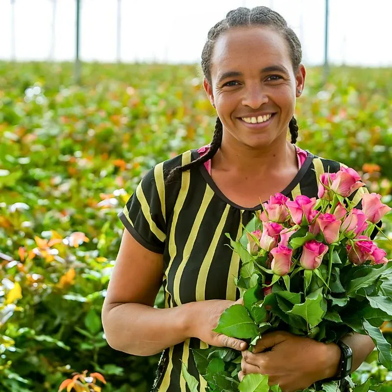 Holla Roses’ Innovative Sustainable Practices Recognized