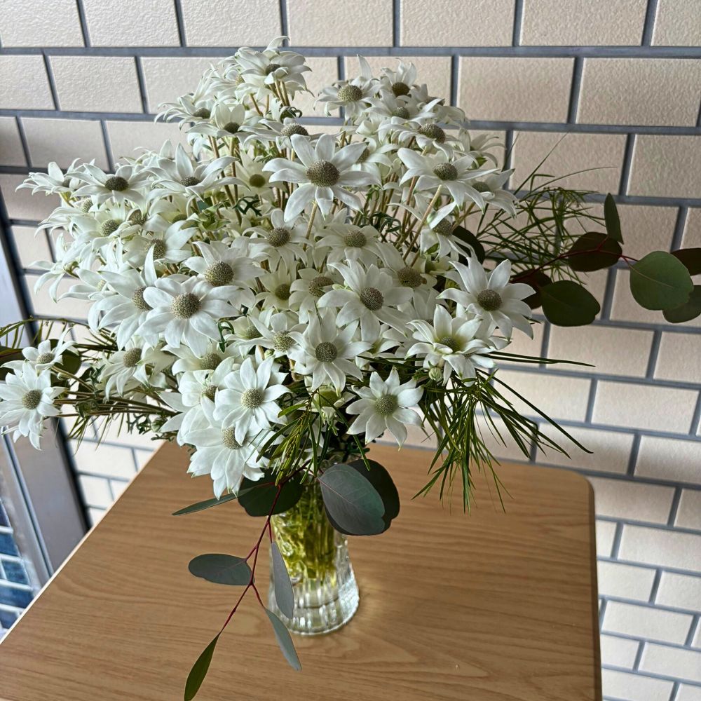 Aucnet ensures that these flowers from the country's Gifu Prefecture reach markets far and wide across the world.