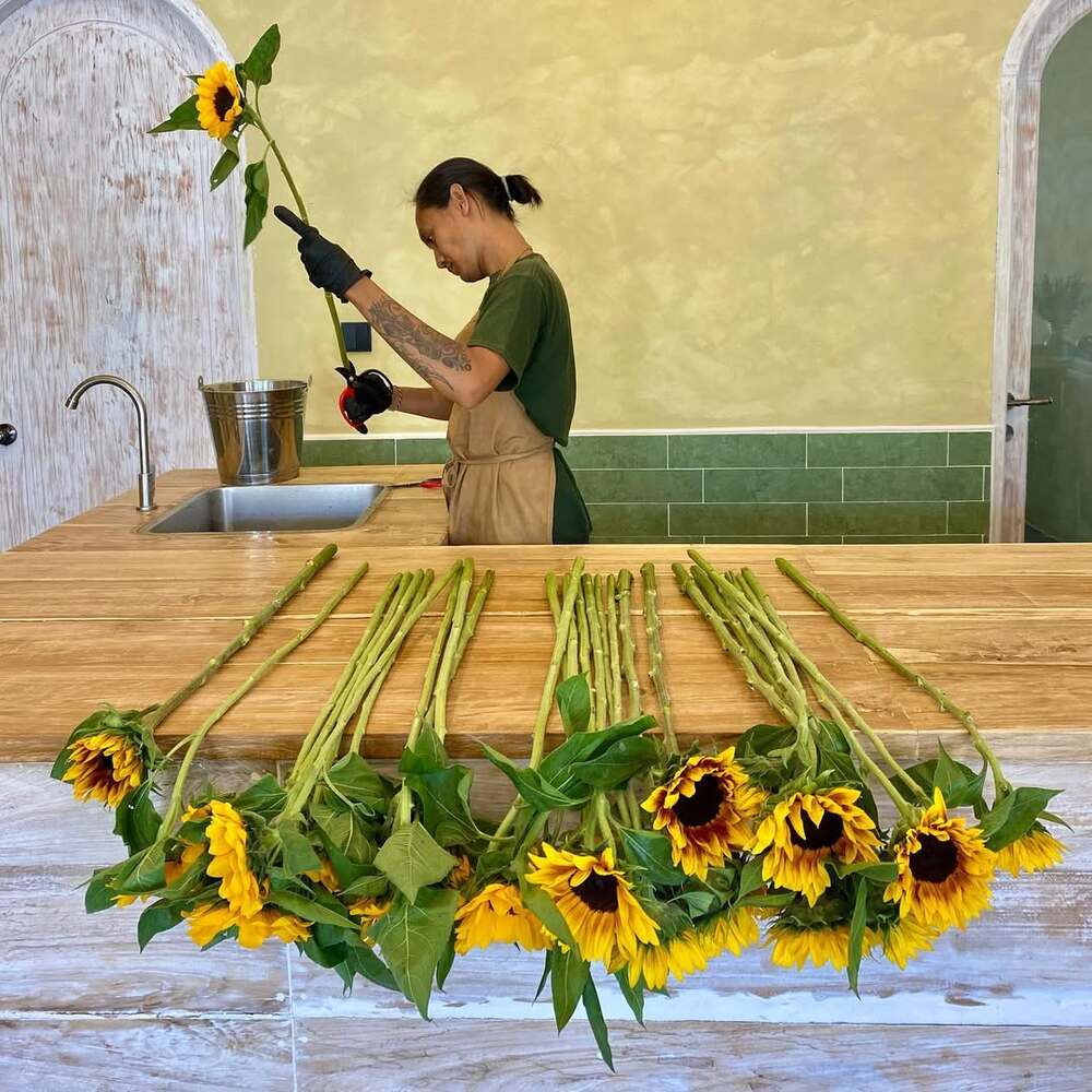 Florist trimming sunflower stems at counter