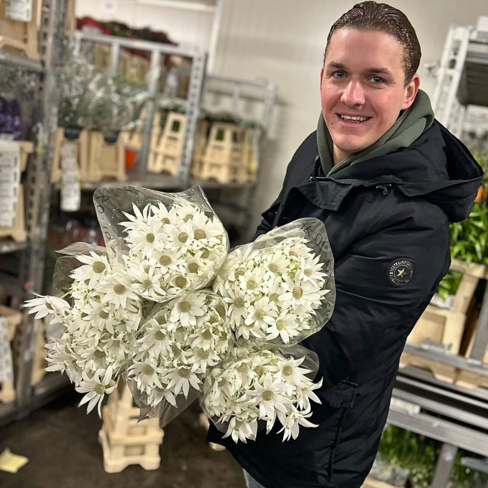 Aucnet Guarantees That Flannel Flowers From Japan’s Gifu Prefecture Reach Global Markets.